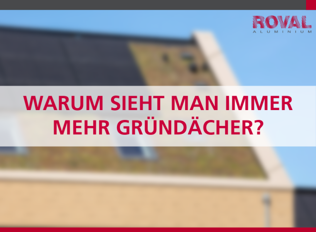 Warum sieht man immer mehr Gründächer?
